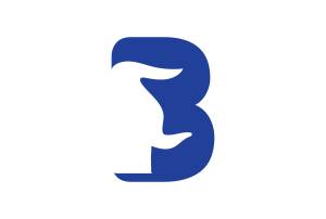 BullRing Logo